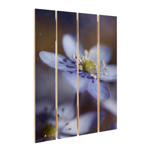 Obraz z drewna - Anemony w kolorze niebieskim