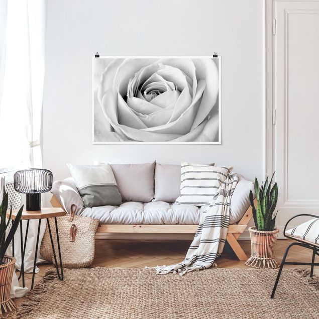 Obrazy nowoczesne Róża z bliska