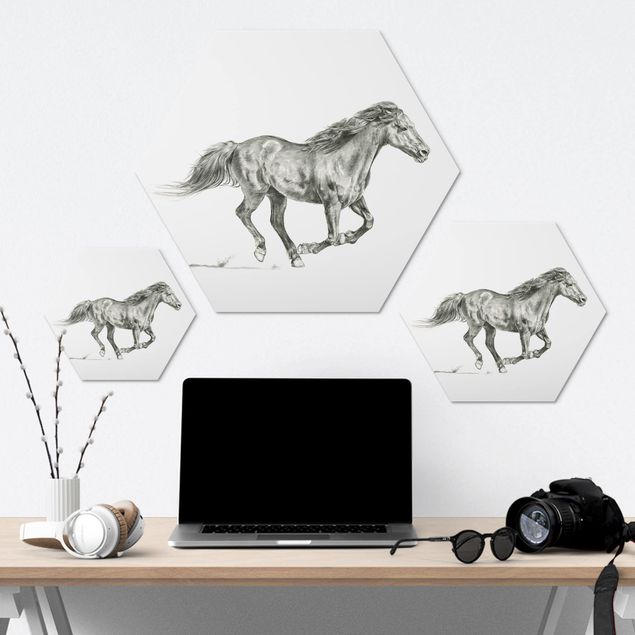 Obraz heksagonalny Badanie dzikich koni - klacz