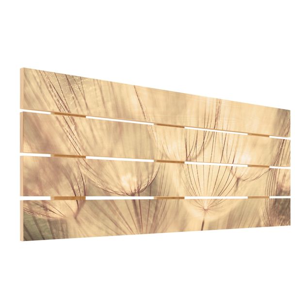 Obraz z drewna - Zbliżenie na mniszki lekarskie w domowym zaciszu w tonacji sepii