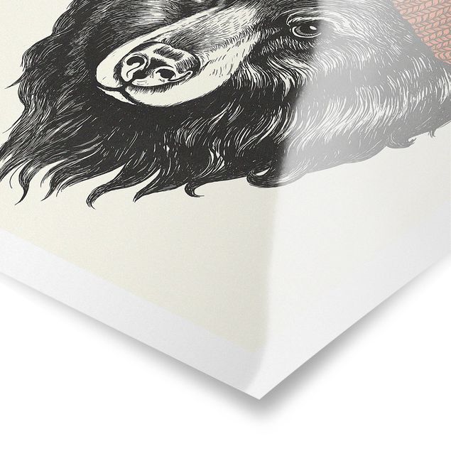 Czarno białe obrazki Ilustracja Niedźwiedź z czerwoną czapką Rysunek