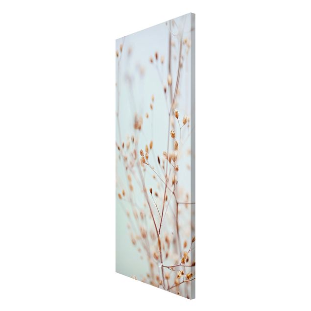 Obrazy nowoczesne Pąki pastelowe na gałązce polnych kwiatów