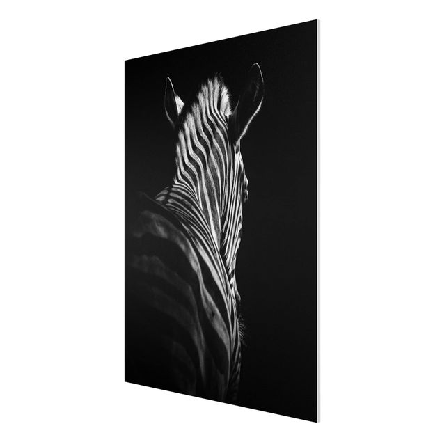 Obrazy nowoczesne Sylwetka zebry ciemnej