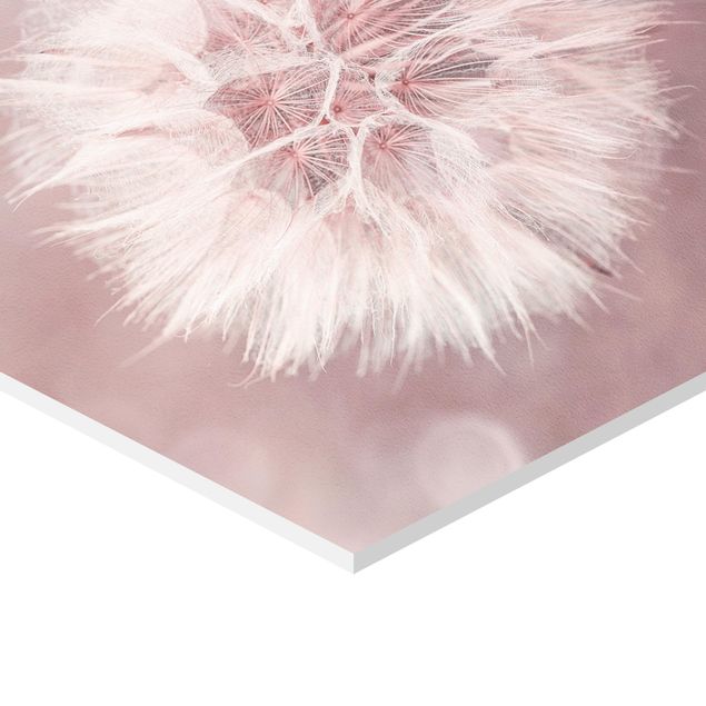 Obrazy dandelion bokeh różowy