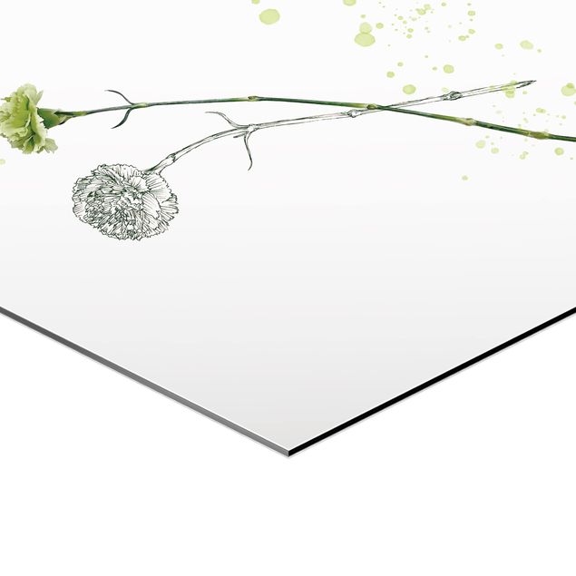Obraz heksagonalny z Alu-Dibond - Akwarela roślinna - goździk