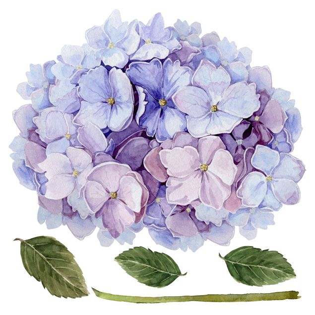 Naklejki na ścianę Akwarela Hortensja Niebieski kwiat XXL
