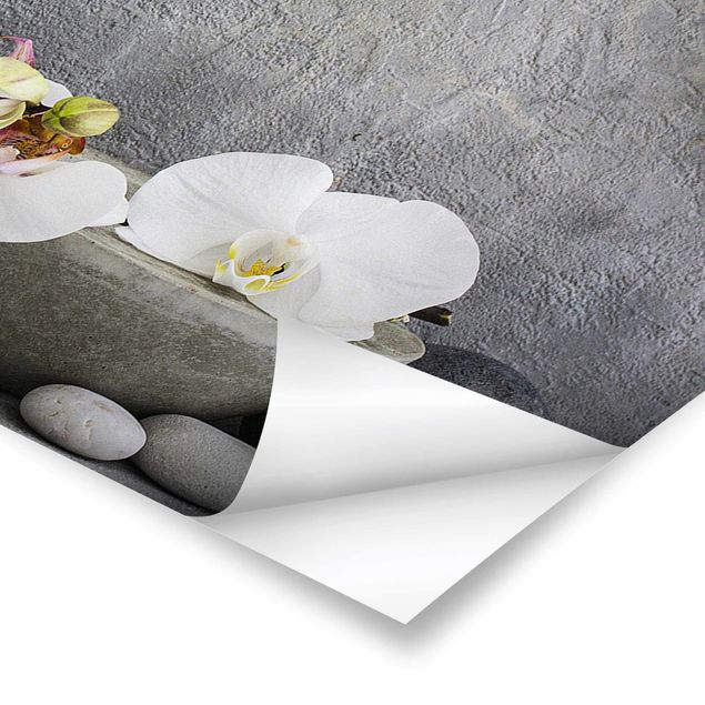 Obrazy artystów Budda Zen z białymi orchideami