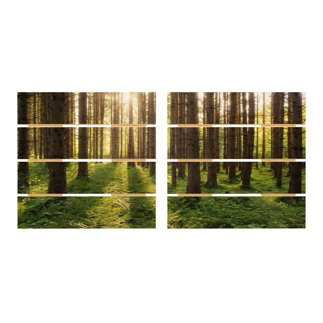 Obrazy na drewnie Promienie słońca w zielonym lesie