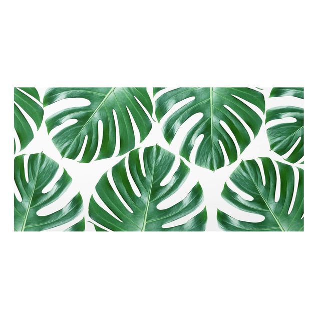 Panel szklany do kuchni - Tropikalna Monstera o zielonych liściach