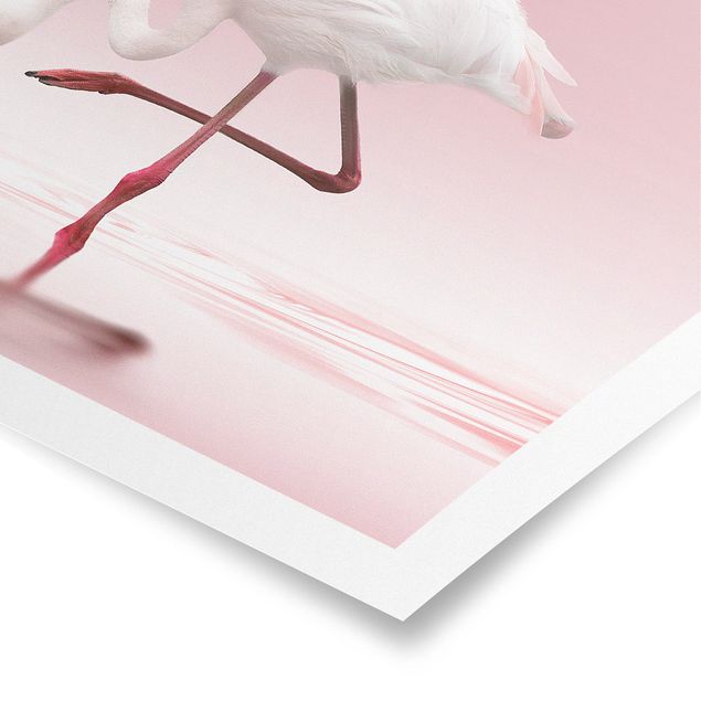 Obrazy pióra Taniec flamingów