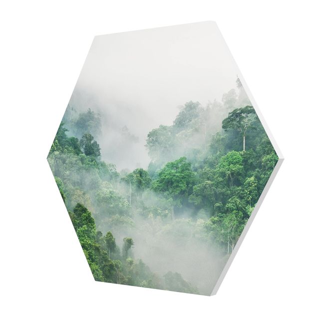 Dżungla obraz Dżungla we mgle
