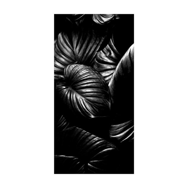 dywany nowoczesne czarno-biały Botany Hosta