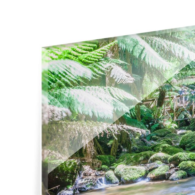 Panel szklany do kuchni - Bach w dżungli