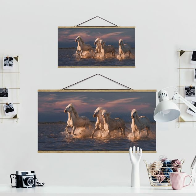Obrazy krajobraz Dzikie konie w Camargue