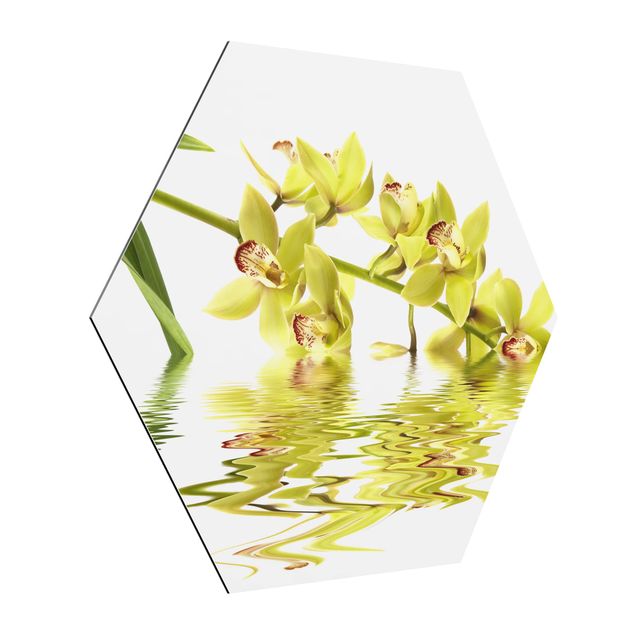 Obraz heksagonalny z Alu-Dibond - Eleganckie wody orchidei