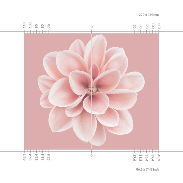 Tylna ścianka prysznicowa - Dahlia Pink Blush Flower Centered