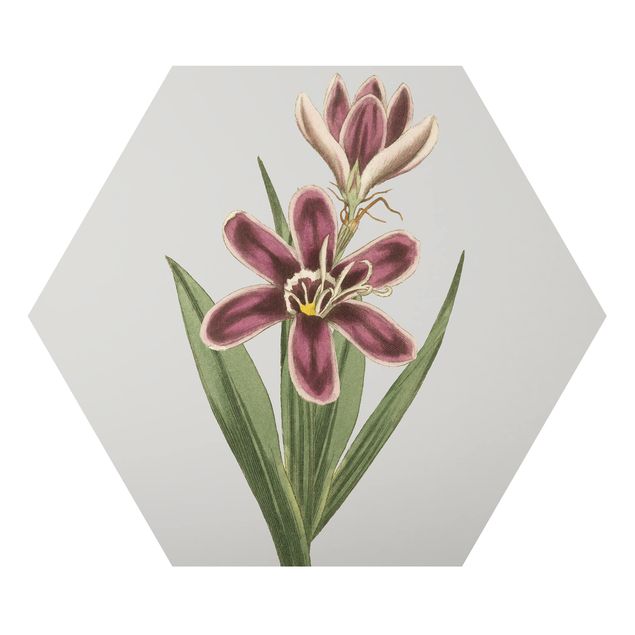 Obraz heksagonalny z Alu-Dibond - Biżuteria z kwiatów II