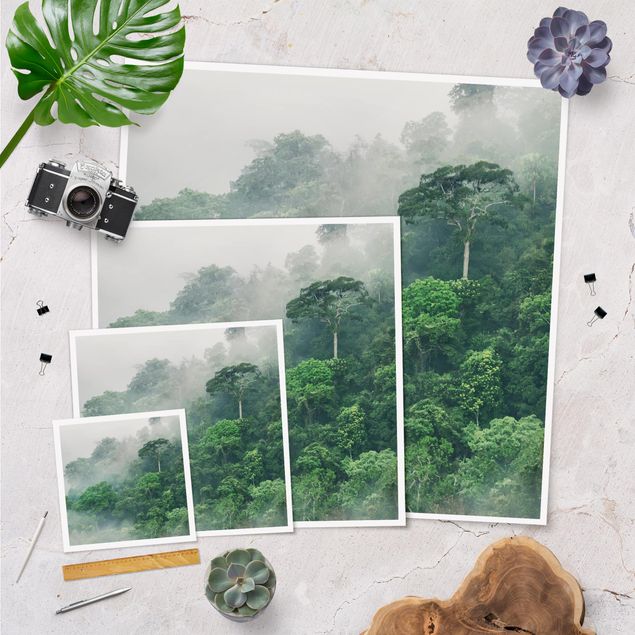 Zielony obraz Dżungla we mgle