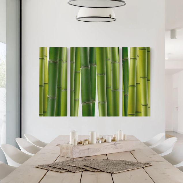 Obrazy nowoczesny Rośliny bambusowe