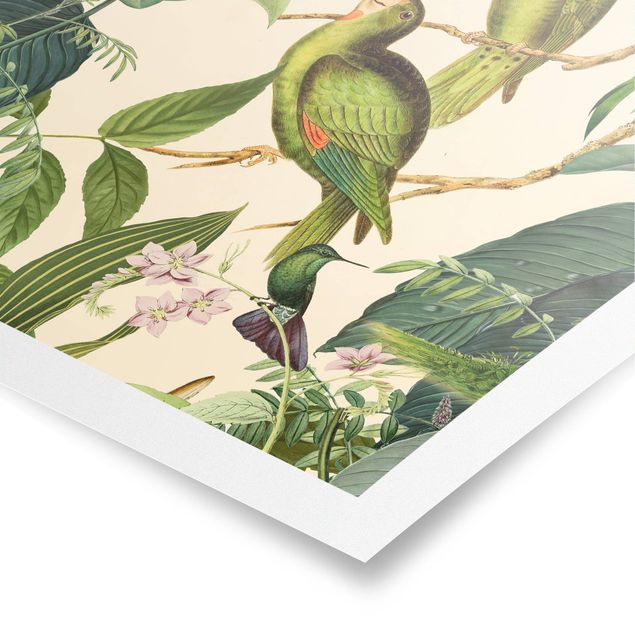 Obraz vintage Kolaże w stylu vintage - Papugi w dżungli