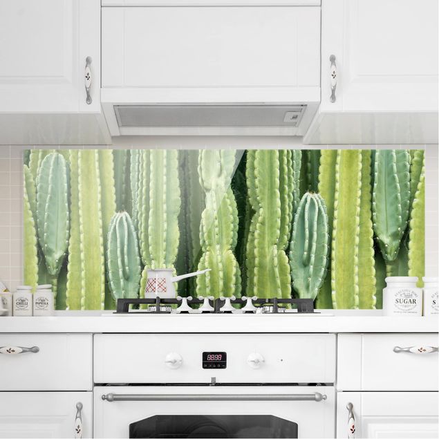Dekoracja do kuchni Ściana kaktusów