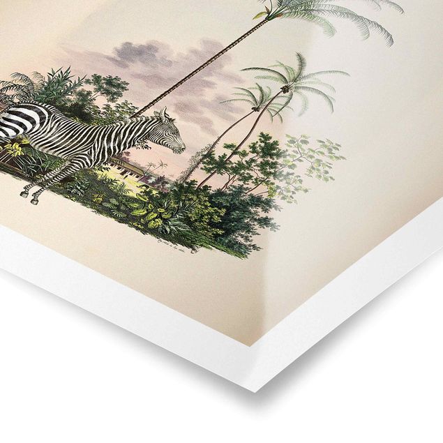Obrazy retro Zebra na tle palm ilustracja