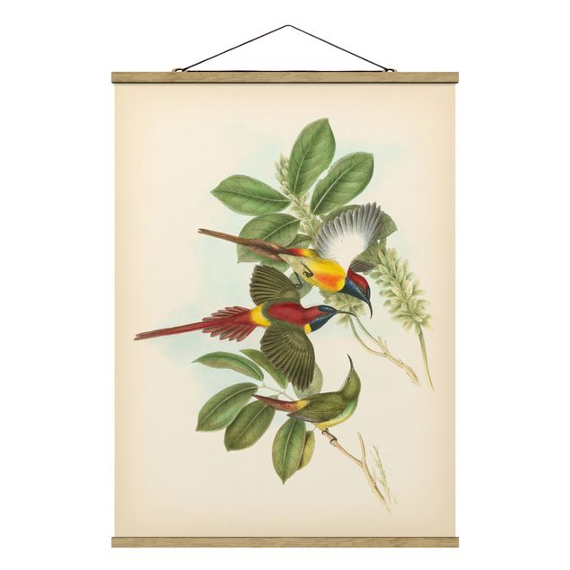 Obrazy vintage Ilustracja w stylu vintage Ptaki tropikalne III