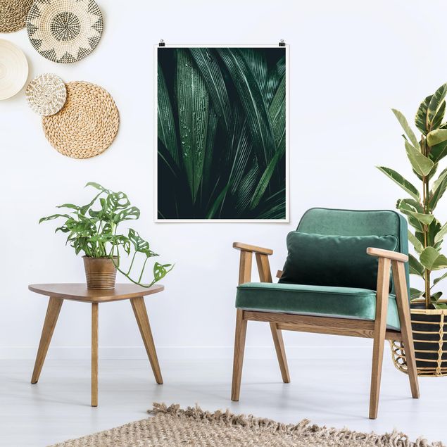 Obrazy nowoczesny Zielone liście palmy