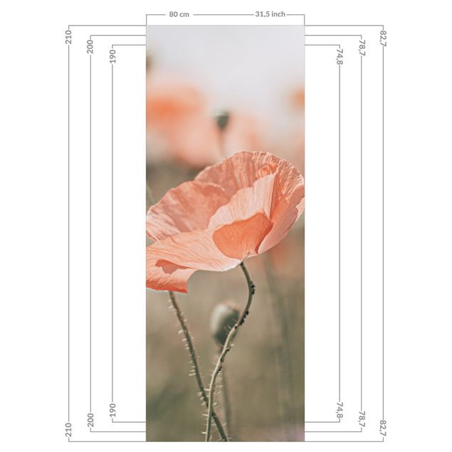 Tylna ścianka prysznicowa - Sun-Kissed Poppy Fields