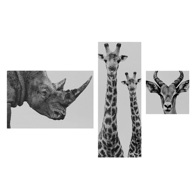 Obraz na płótnie 3-częściowy - Trylogia safari II