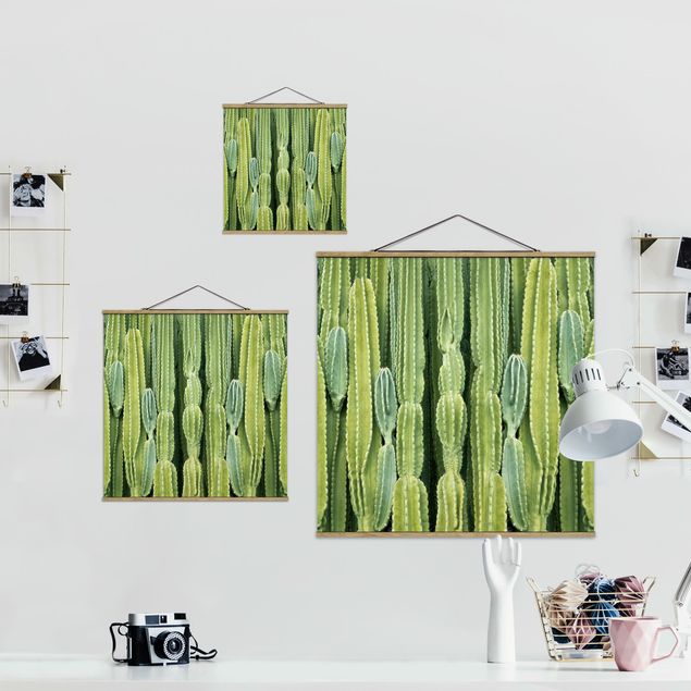 Obrazy na ścianę Ściana kaktusów