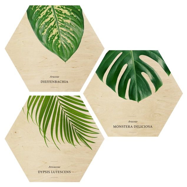 Obraz heksagonalny z drewna 3-częściowy - Liście tropikalne
