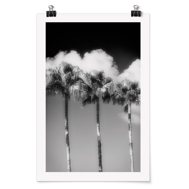 Obrazy krajobraz Palmy na tle nieba, czarno-białe