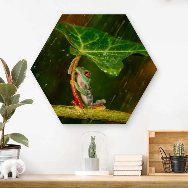 Obrazy Żaba w deszczu