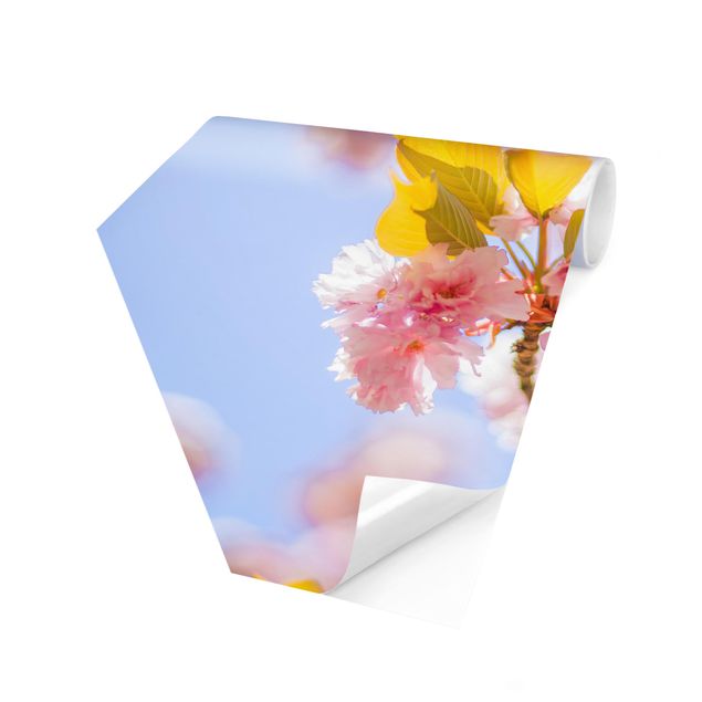 Sześciokątna tapeta samoprzylepna - Kolorowe kwiaty wiśni