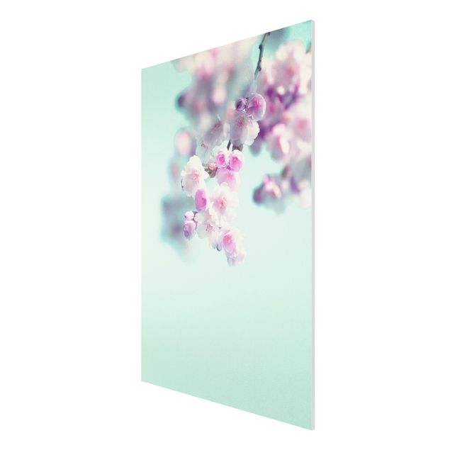 Obrazy nowoczesny Kolorowe kwiaty wiśni