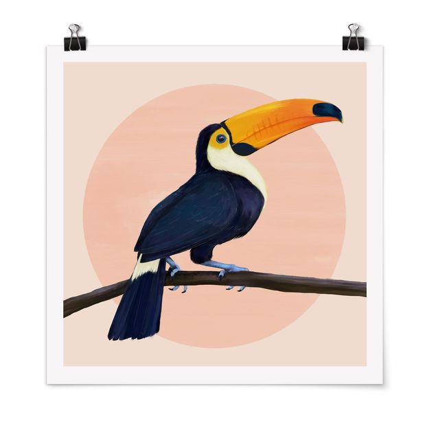 Obrazy zwierzęta Ilustracja ptak tukan malarstwo pastelowe