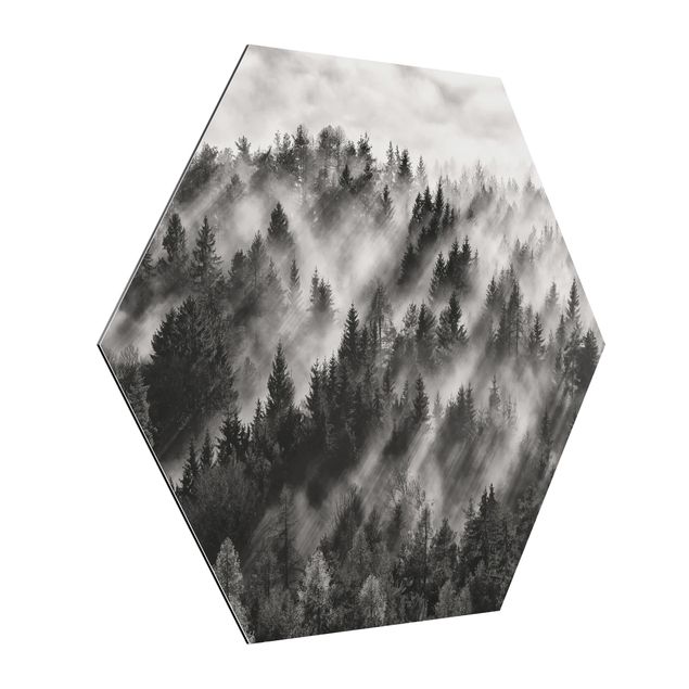 Obraz heksagonalny z Alu-Dibond - Promienie światła w lesie iglastym