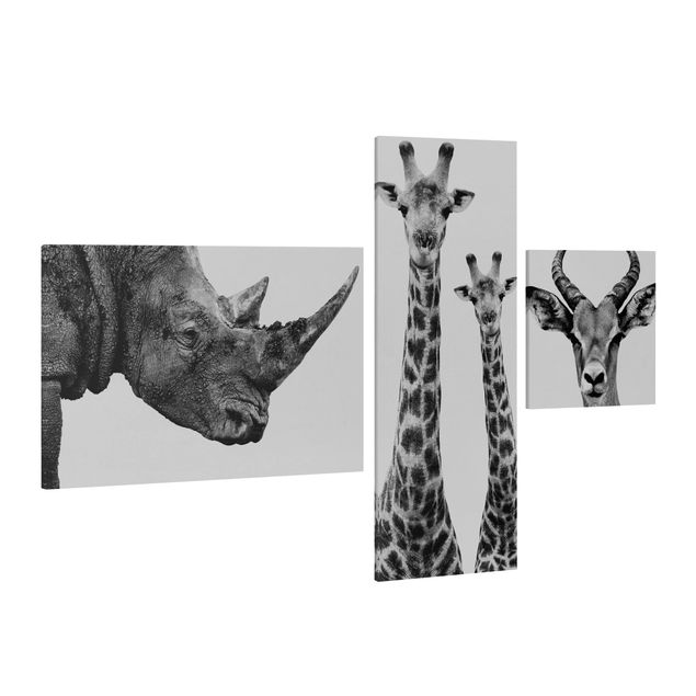 Obraz na płótnie 3-częściowy - Trylogia safari II