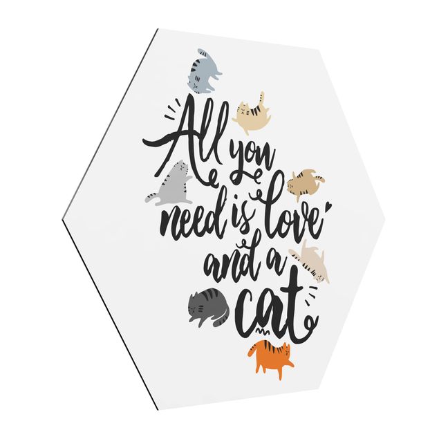 Obraz heksagonalny z Alu-Dibond - Wszystko, czego potrzebujesz, to miłość i kot
