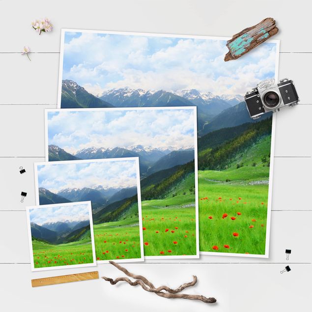 Obrazy z motywem kwiatowym Łąka alpejska