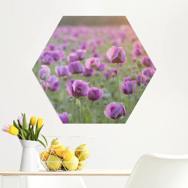 Obrazy maki Fioletowa łąka z makiem opium wiosną