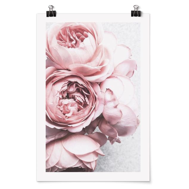 Obraz shabby chic Kwiaty różowej piwonii Shabby Pastel