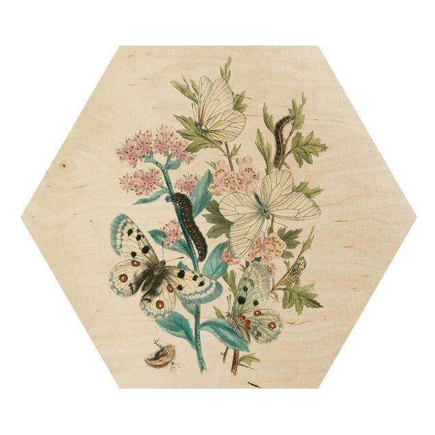 Obraz heksagonalny z drewna - Motyle brytyjskie I