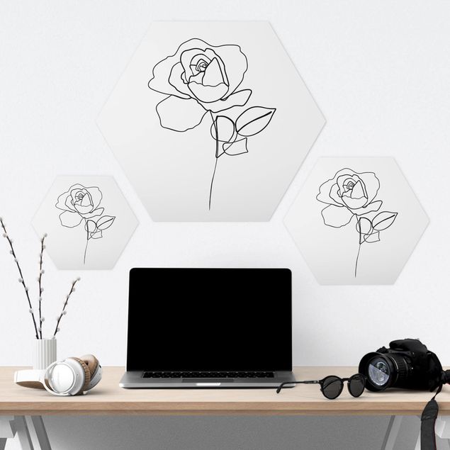 Obraz heksagonalny z Forex - Line Art Róża czarno-biały
