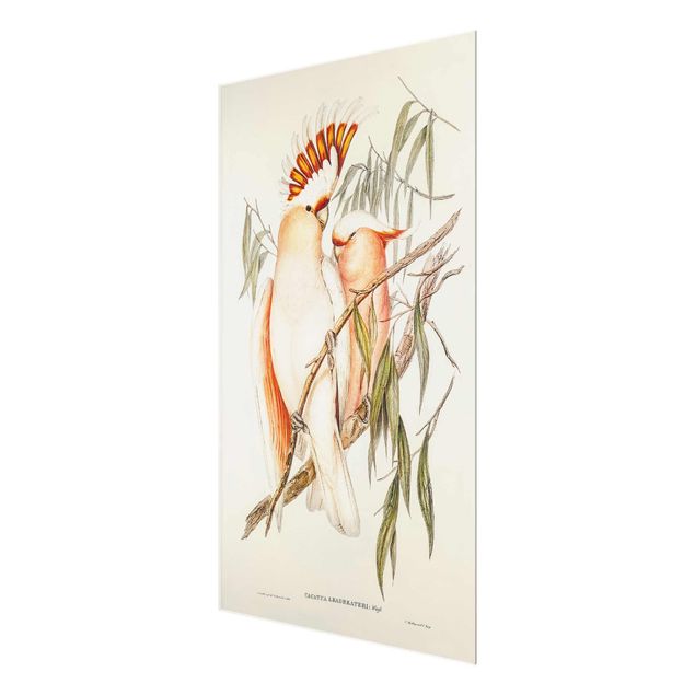 Obrazy vintage Ilustracja w stylu vintage różowy kakadu