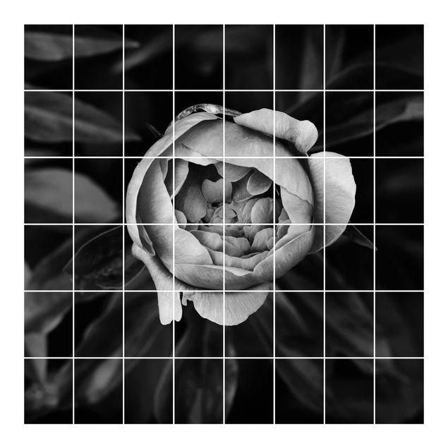 Naklejka na płytki - Kwiat piwonii na tle liści czarno-biały