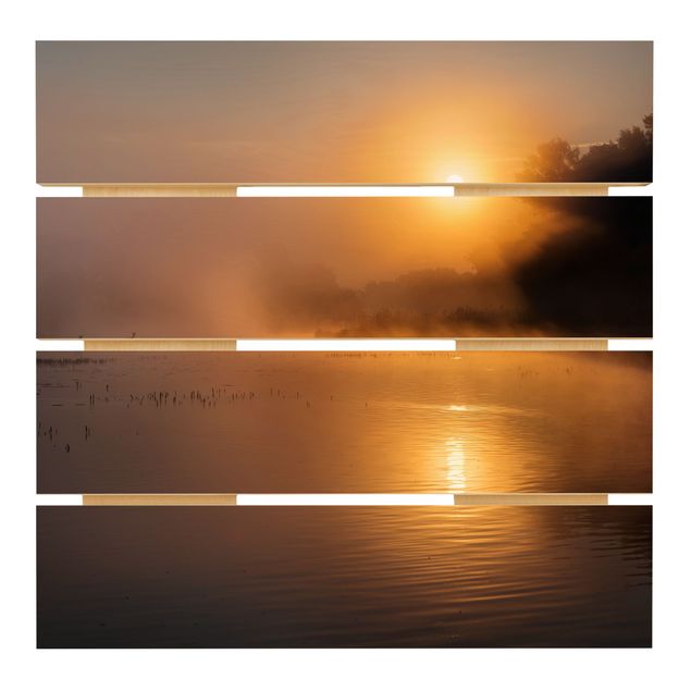 Obrazy na drewnie Wschód słońca nad jeziorem z jeleniami we mgle