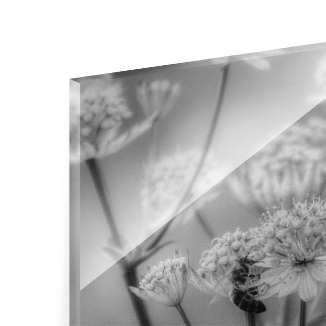 Obrazki czarno białe Pastelowe kwiaty II