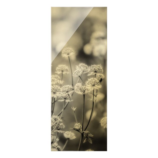 Obraz na szkle - Pastelowe kwiaty II